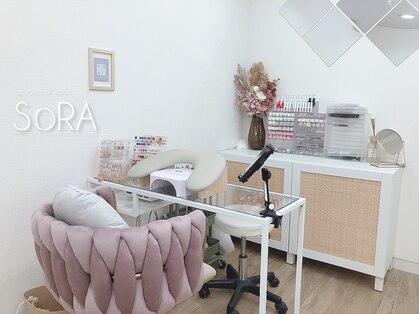 ソラ(SORA)の写真