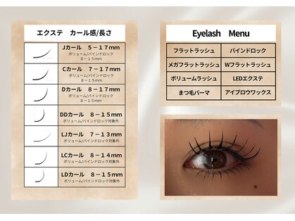 ブリンクの写真
