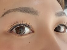 シャルルー(chaleureux)/フラットラッシュ160本