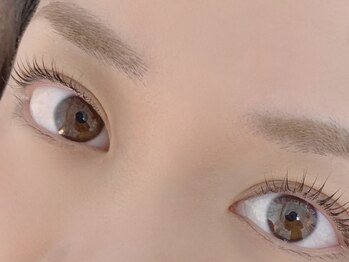 キャリコ(calico)/