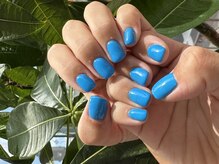 ティンク 大船店(Tink)/ワンカラー　ブルー