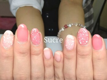 シュクル(Sucre)/新登場☆シンプルコース