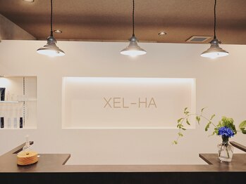 シェルハ(XEL-HA)/マヤ語で泉の水