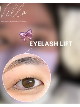 ブロウタス 新越谷店(BROW+)/まつ毛パーマ
