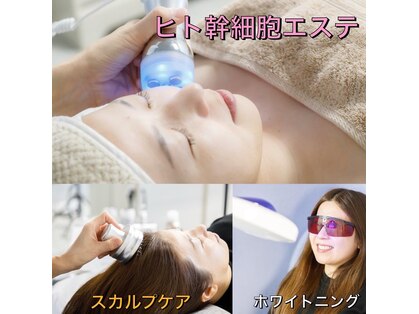 カラボ(KARABO)の写真