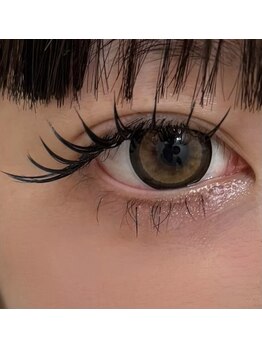 ミニョン(Mignon)/目指してたボリュームが現実に