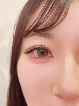 バンデエステティック(BANDE esthetic)/フラットラッシュ120本