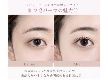 コーラル(coral)の写真