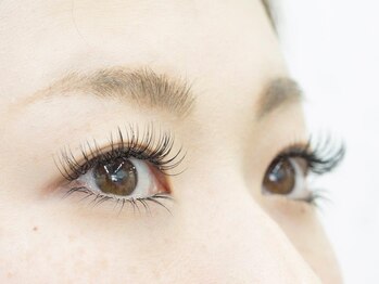 ラ エステ 神戸元町本店/下まつげつけ放題￥３５２０円