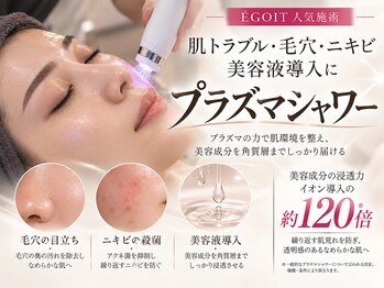 エゴイット 恵比寿(EGOIT)の写真/毛穴悩みを繰り返さない肌へ。肌状態を見極めた本格毛穴・肌質ケア
