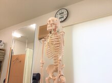 板橋さとう整体院/お身体の説明も！【整体・板橋】