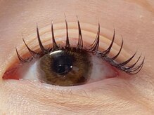 ザラボアングゥ(The Labo ungu)/【マツエク】フラットラッシュ