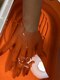 エニー(Any)の写真/普段頑張っている手元にご褒美を♪様々な手のお悩みに寄り添った徹底ハンドケアで、気分が上がる手元に！