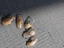 ネイルスミス 高松店(Nailsmith)/clear×gold