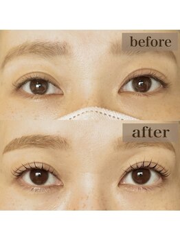 ホーム(HOME)/セットメニュー