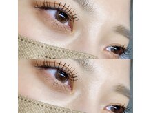 ノンノ(non-no)/大人気のフラットラッシュ120本