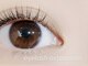 ダイヤモンドアイズ 南町田グランベリーパーク店(DIAMOND EYES)の写真/高い技術とホスピタリティでお買い物合間に心地よい癒やしのひとときを