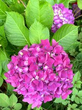 健美リラクゼーション 王 玲(女)