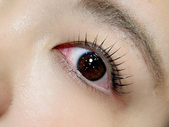 ティンク港南台 アイラッシュアンドネイル (Tink eyelash&nail)/上下デザインラッシュリフト