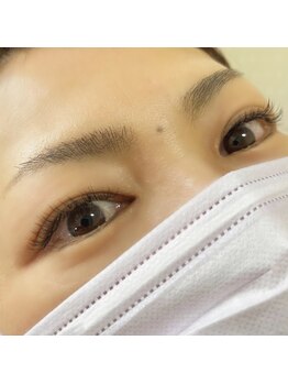 ストリ(stri)/フラットラッシュ 120本