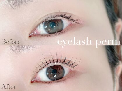 モンリーバイクヴェル(Monry by cvell)の写真