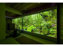 ハーベル 千歳船橋店(Herbelle)/大迫力ビジュアルヒーリングヨガ