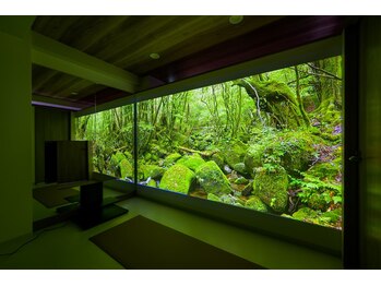 ハーベル 千歳船橋店(Herbelle)/大迫力ビジュアルヒーリングヨガ