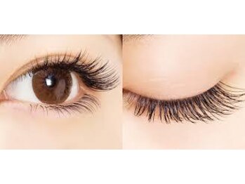 セレッソ(cerezo)/特殊な断面フラットラッシュ