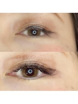 ルピナス(Lupinus)/LEDボリュームラッシュ400本