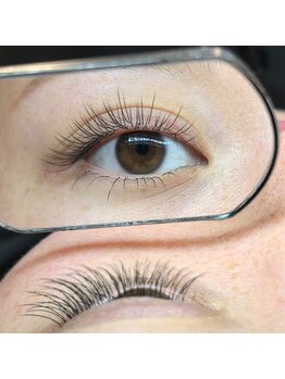モアアイラッシュ 渋谷ハチ公口店(More Eyelash)/フラットラッシュ