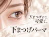 下まつ毛パーマのみ♪逆さまつ毛対策♪+ケラチン 4000円