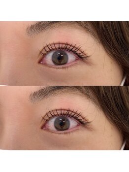 ビセイ(Bisei)/フラットマットラッシュ