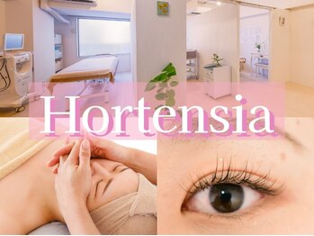 オルテンシア(Hortensia)