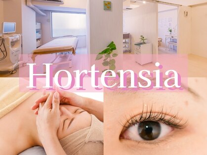 オルテンシア(Hortensia)の写真