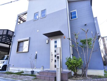 ネリネ(Nerine)/外観