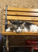 サロン ド アンティーク(Salon de Antique*)/いくら