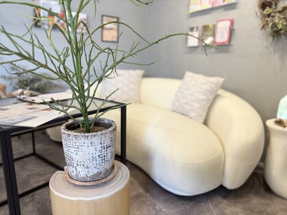 リヴィリア(Revilia)の写真