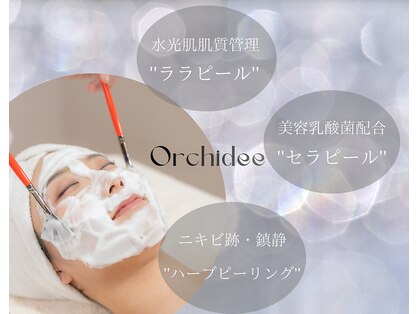 オルキデの写真