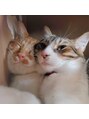 デザインケー 長町南店(designK) 動物LOVE！！もふもふ最高！！！