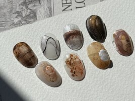 Newサンプル，80hareコース