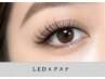 【LEDマツエク*180本】圧倒的な持続力♪LED×フラットラッシュ¥10600
