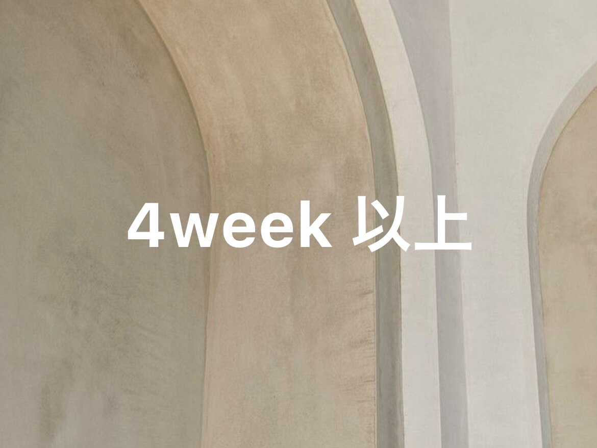 《美眉スタイリング》眉毛WAX