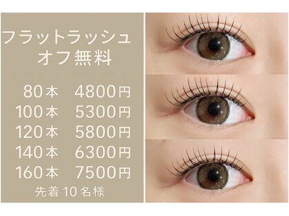 アイヴィー(ivy)の写真