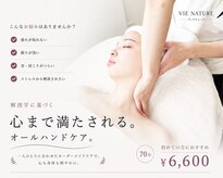 ヴィナチュール(vie nature)
