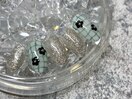 5月トレンド定額　新規7,260円