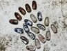 hand9月マンスリーデザイン♪パラジェル使用¥8800