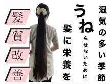 バーテックスキー(Vertexkey)/湿気に負けない髪質