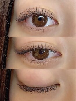 アージル(Argyll)/持続力抜群♪フラットラッシュ