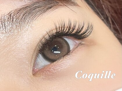 コキーユ(Coquille)の写真