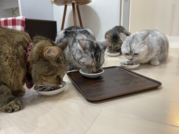 エスポリー(ESPORY)/